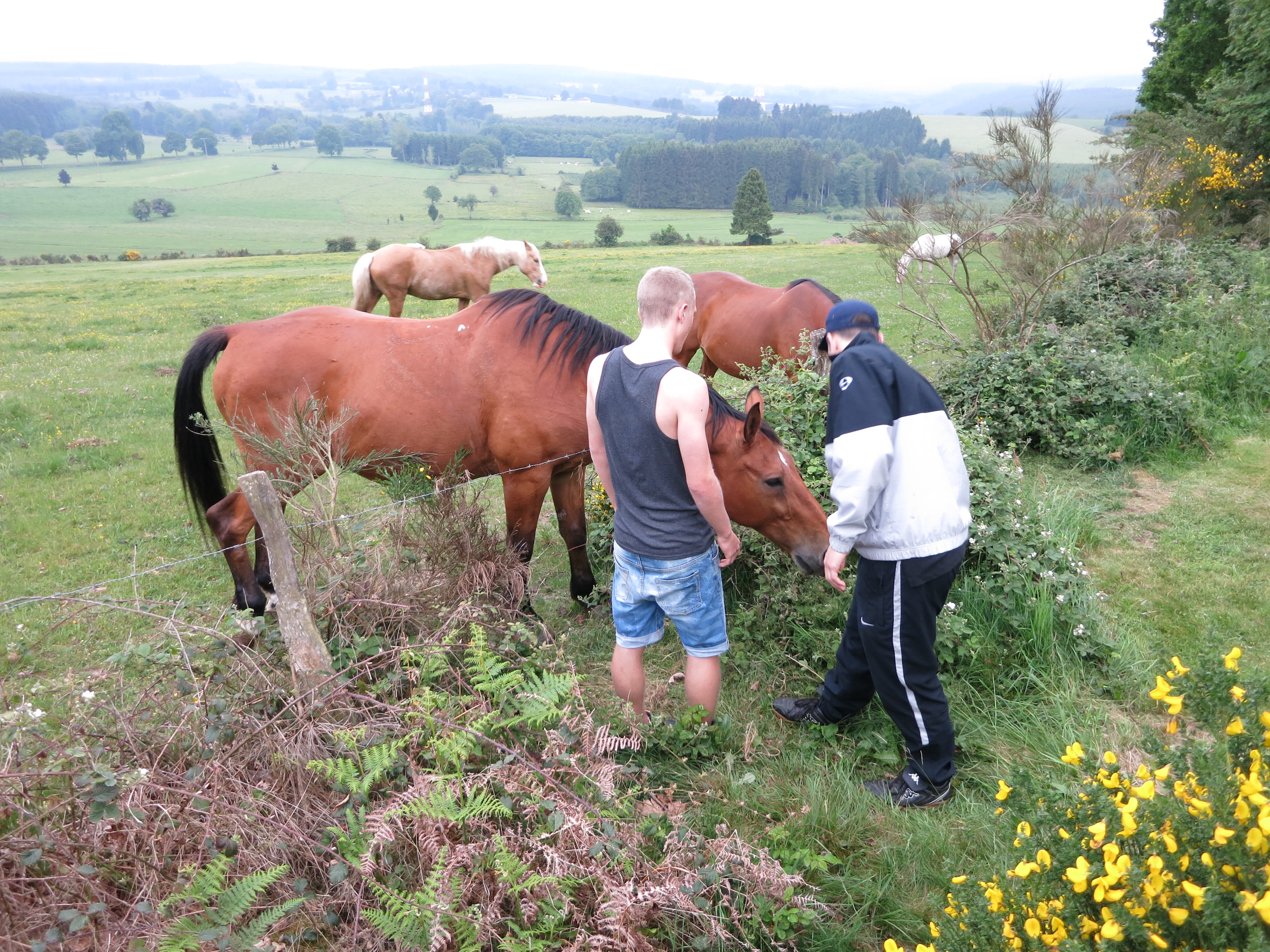 HWK Ardennes 2014 023.jpg